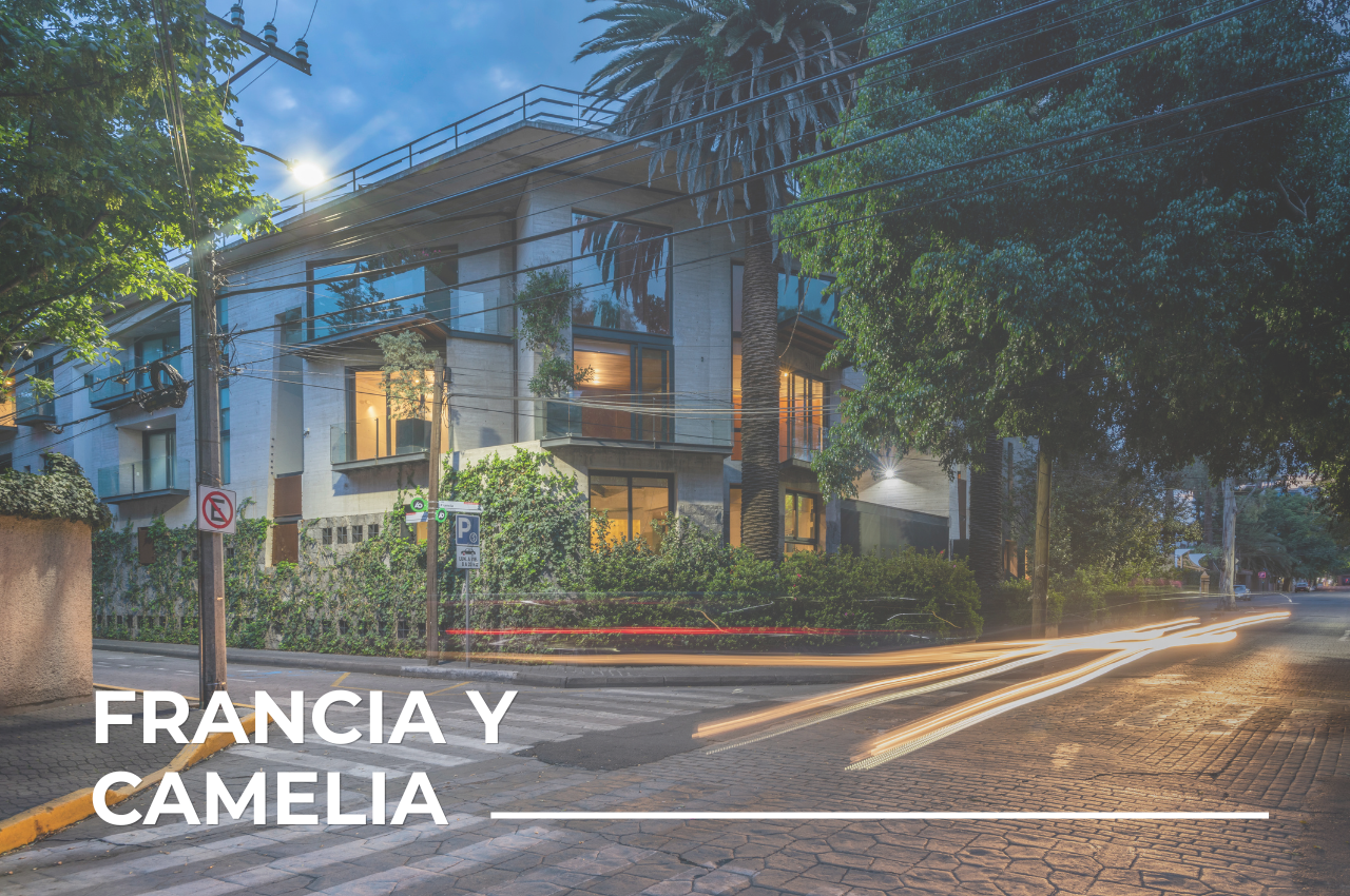 francia y camelia