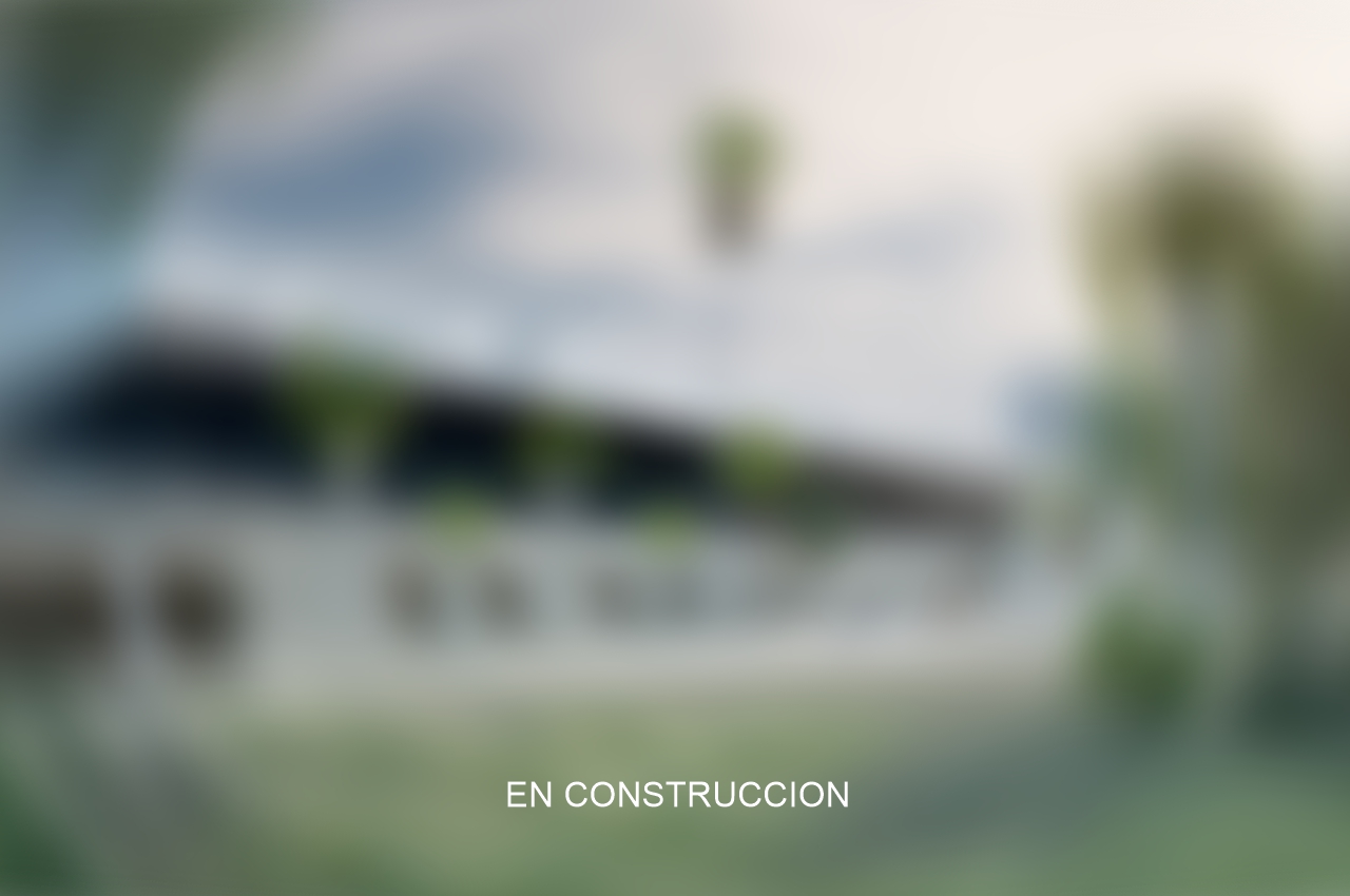 en proceso