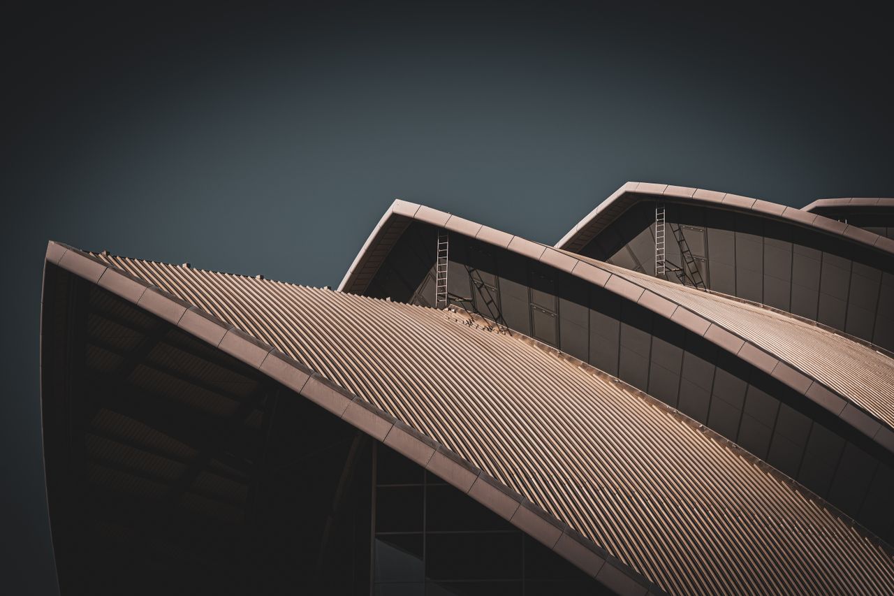 Close-up view of a modern architectural roof showing unique, curved design elements against a dark background.